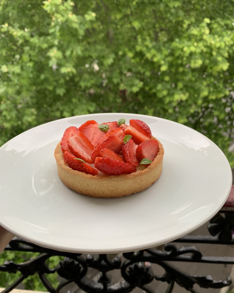 Huge trees reaching into the fog