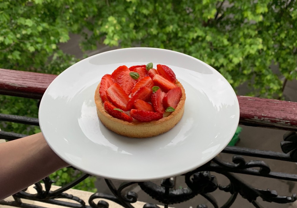 A lonely tree above the fog