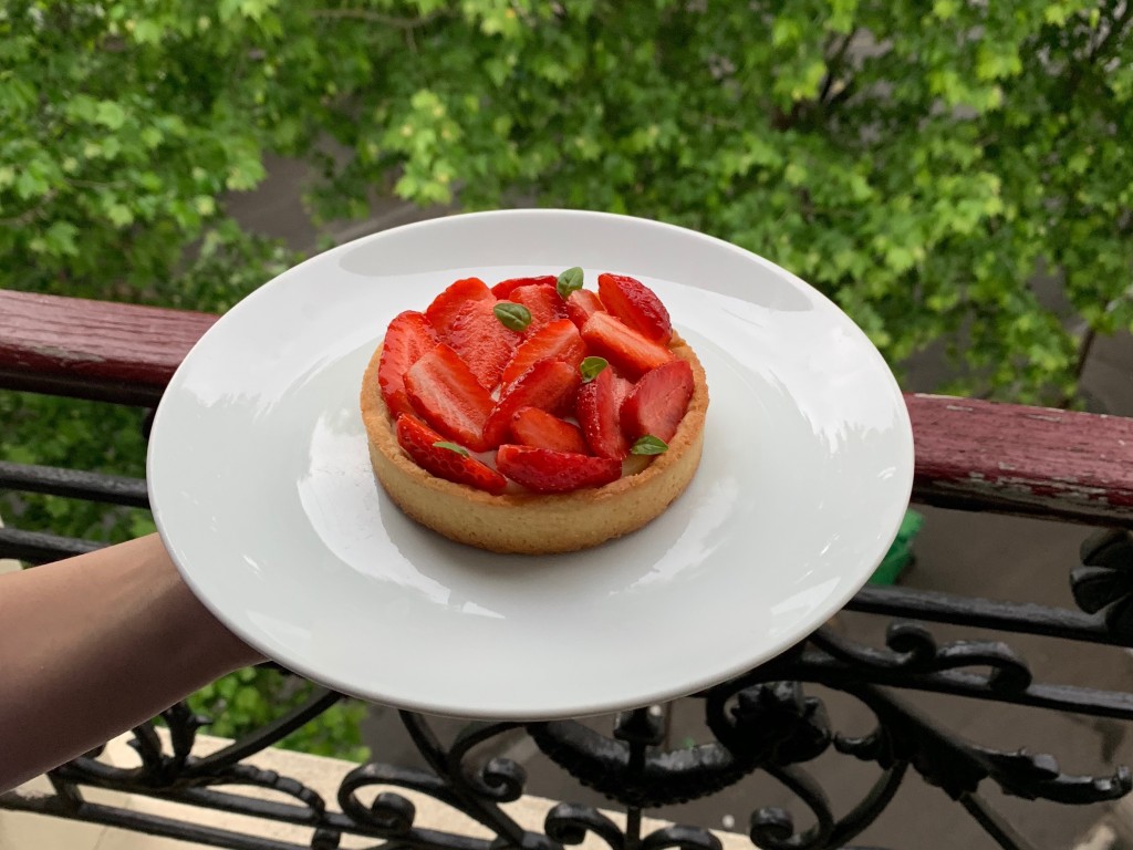 A lonely tree above the fog