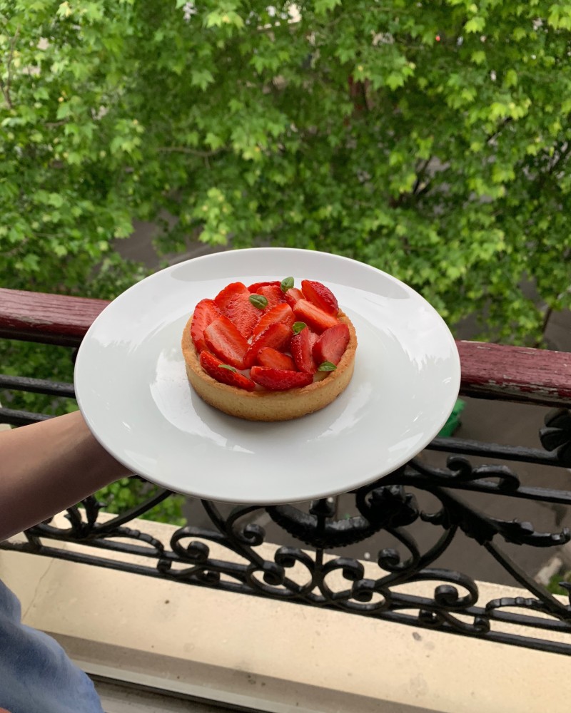 A lonely tree above the fog